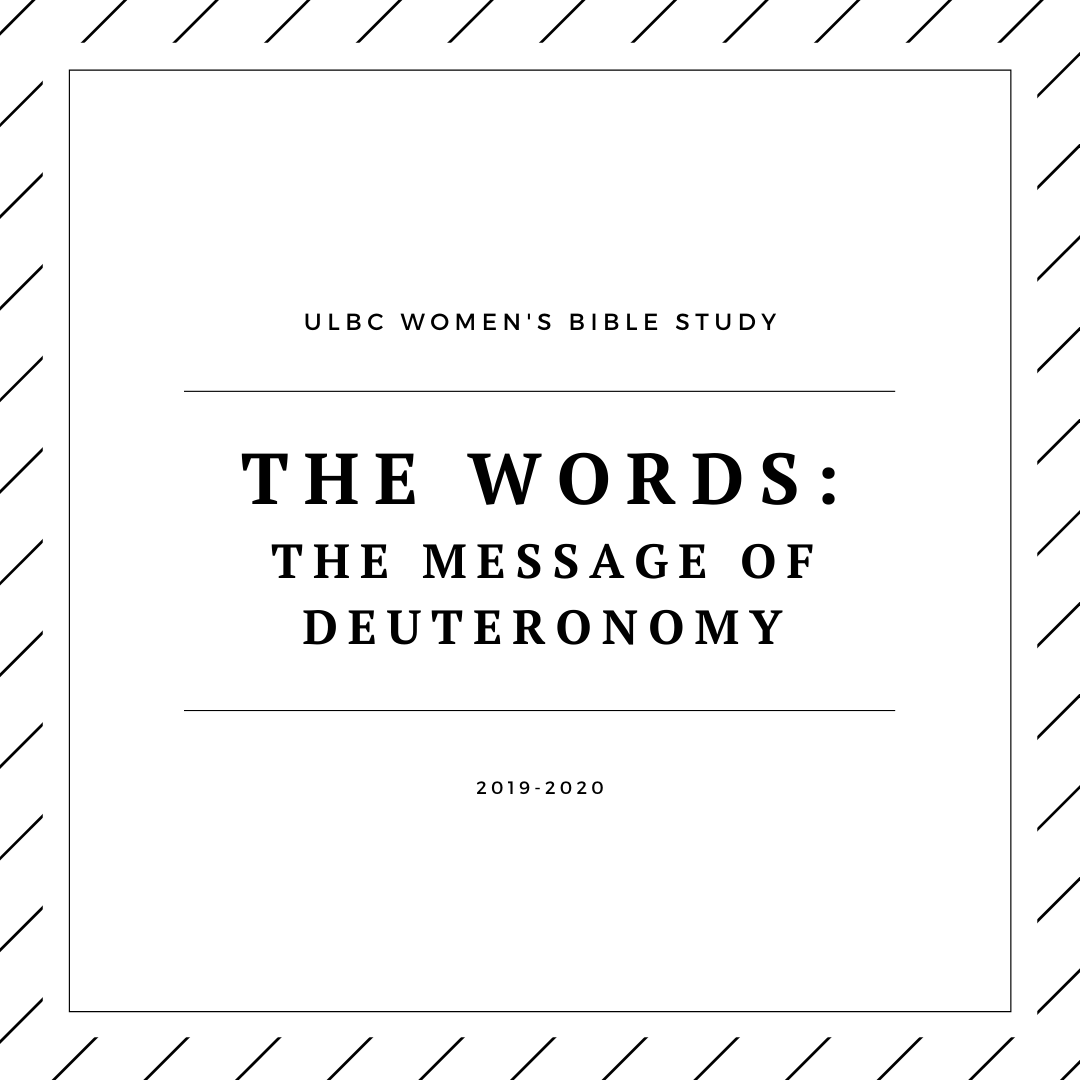 Women's Bible Study: Deuteronomy 19