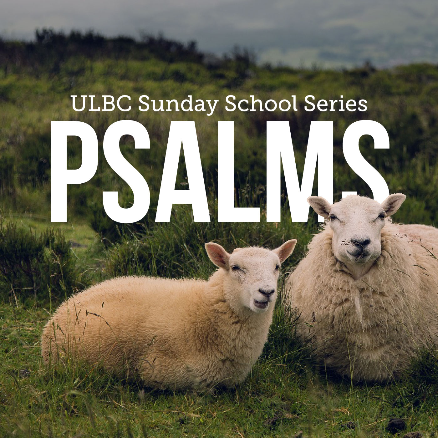 A Tale of Two Psalms